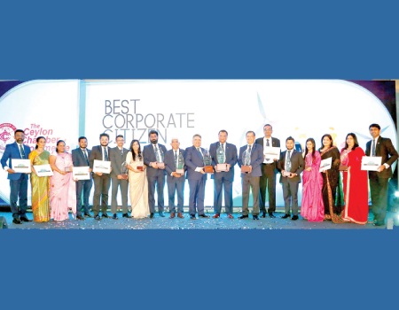 Hayleys Plantations Managing Director Dr. Roshan Rajadurai (eighth from right), TTE PLC Director/CEO Senaka Alawattegama (ninth from right), and the TTE PLC team with their accolades.