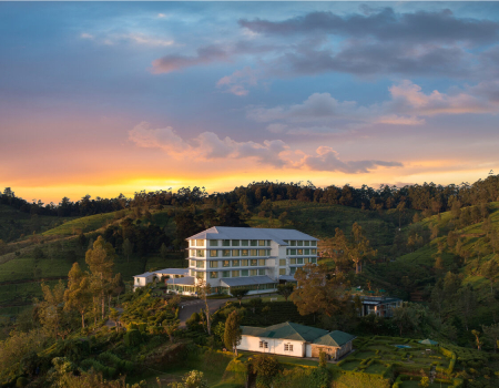 Immerse Yourself in a Serene Summer Retreat at Heritance Tea Factory