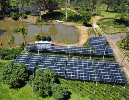 Sri Lanka begins solar pilot project on plantation