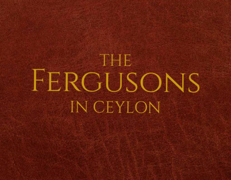 The Fergusons in Ceylon