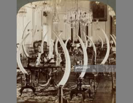 Interior of Alfred House showing hall of tusks