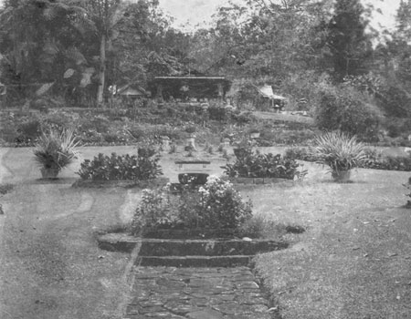 The garden at Killarney was a veritable botanical garden