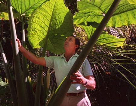 ‘A true plants man’: Larry Schokman, who nurtured a leafy gem of Miami, dies at 82