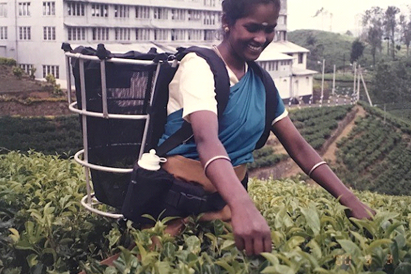 Maithri Liyanage - Chronicle of a Sri Lankan Planter