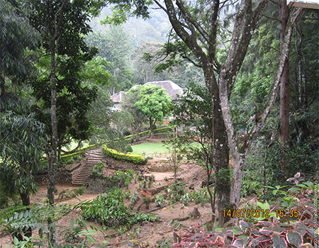 Garden of the Big Bungalow under renovation