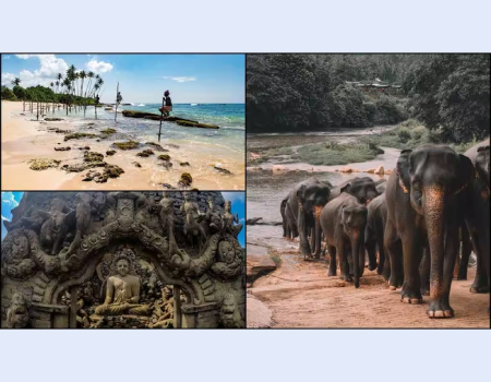 10 reasons to visit Sri Lanka: A land like no other for Indian travellers