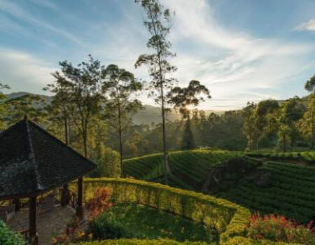 Ceylon Tea Trails Dimbula, Sri Lanka