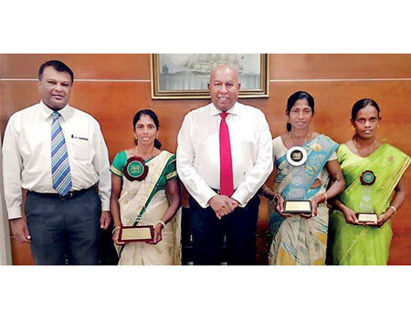 Sri Lanka Tea Board Best Tea Plucker competition