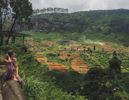 The Best Ceylon Tea Plantations in Sri Lanka | History of Ceylon Tea