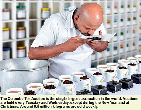 Bulk tea exports show marginal growth while tea bags, packeted tea show decrease