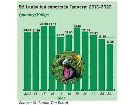 Source: Sri Lanka Tea Board