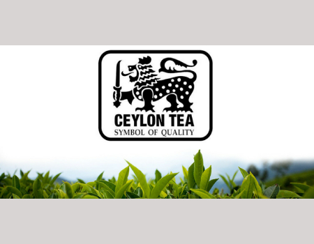 ceylon-tea-one-of-the-best-teas-in-the-world-2023