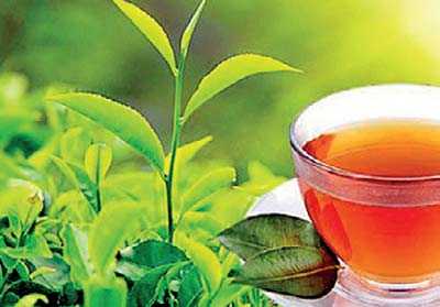 tea leaf and a cup of tea