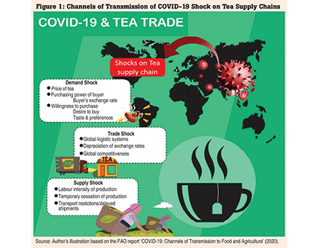 COVID-19: Wake-up call for Sri Lanka’s tea industry