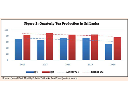 COVID-19: Wake-up call for Sri Lanka’s tea industry