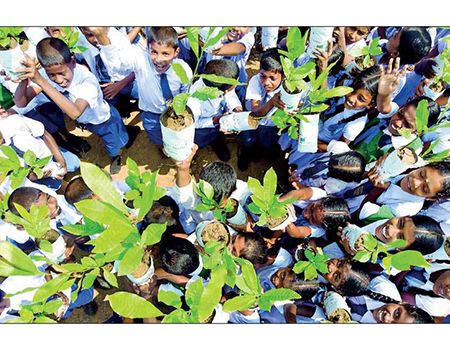 Over a million cashew tress planted in the east of Sri Lanka in the Greening Batticaloa Initiative