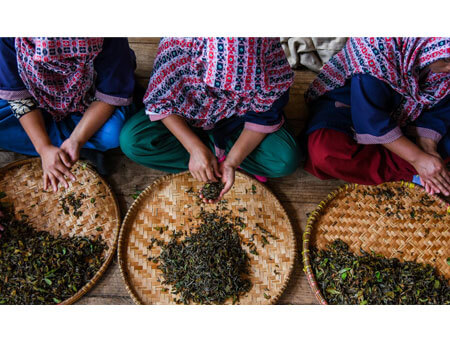 Although Jun Chiyabari's tea makers produce several teas similar to Darjeeling styles, they are also influenced by sophisticated East Asian techniques.CreditBachan Gyawali