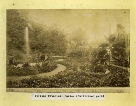 Views of the Tbilisi Botanical Gardens, Georgia, c1870. Courtesy the NYPL digital collections