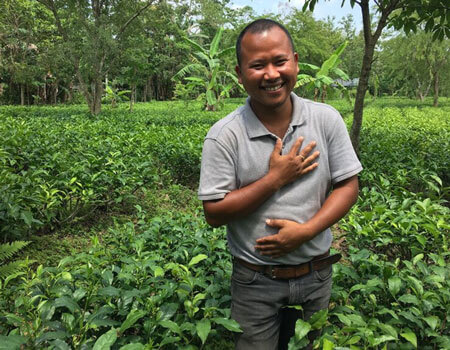 Tenzing Bodosa stands in one of his 'elephant-friendly' tea gardens, which includes buffer zones with elephant-friendly plants.