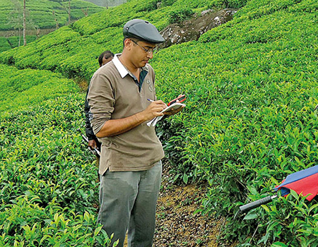 Dr. JagathdevaVidanagama gathering data from the primary source of tea plantations