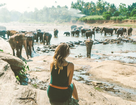 Animal lovers, get to Sri Lanka. You won't be disappointed.

