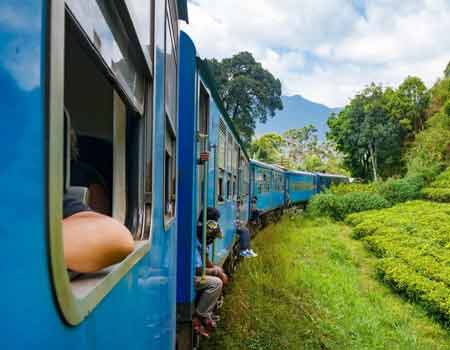 The scenic train journey from Kandy to Ella, through Sri Lanka’s tea plantations. Picture: Alamy