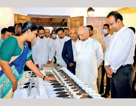 great-opportunity-for-entire-tea-industry-and-export-sector