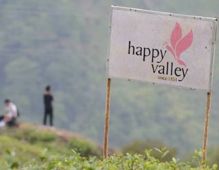 Happy Valley Tea Estate is one of highest tea plantations in the world