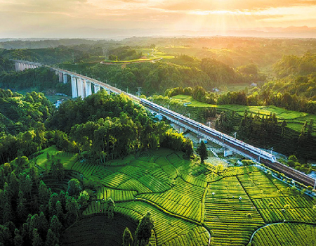 A high-speed train passes through tea plantations in China.[Photo by Liu Hao/For China Daily]