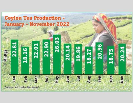 Sri Lanka’s tea production