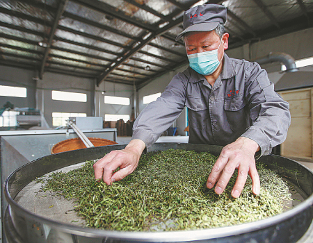 A worker spreads processed tea leaves at a factory in Qimen county, Huangshan, East China's Anhui province