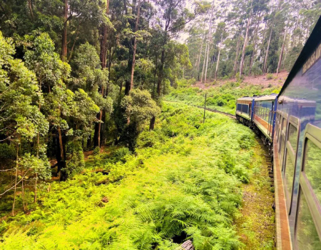 Sri Lanka train ride through the tea plantations