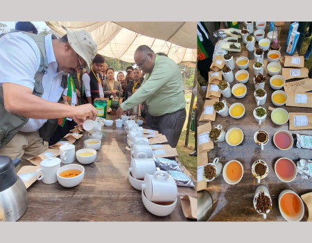tea-festival