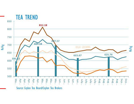 Tea Trend