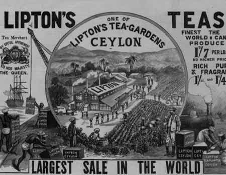 Lipton's had many plantations in Sri Lanka, then known as Ceylon 