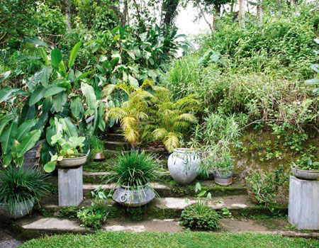 The Kandy House garden