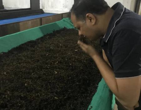 a Tale of Two Darjeeling Tea Industry Planters