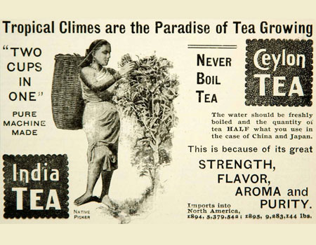 A 1896 print advertisement for Ceylon Tea and India Tea.
Photo credit: periodpaper.com