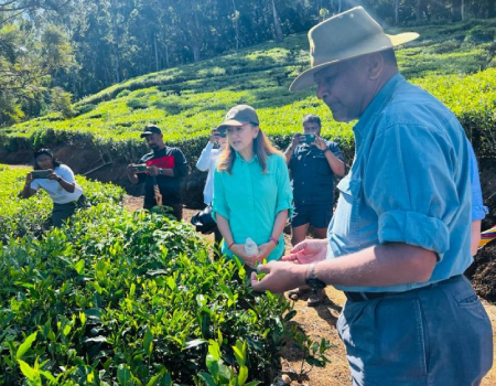 US Ambassador visits Hayleys Plantations’ Pedro Tea Estate