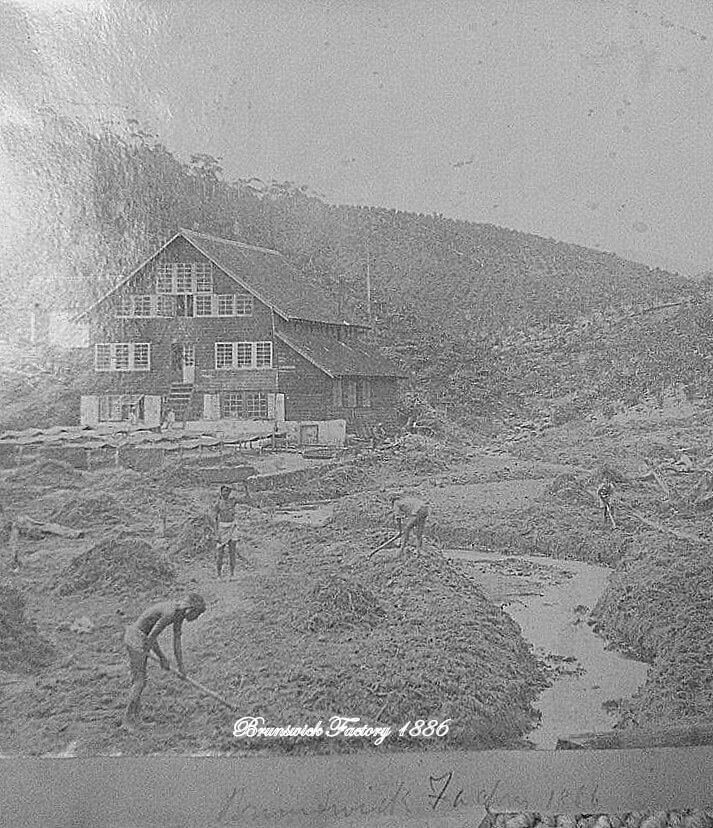 Brunswick Factory 1886