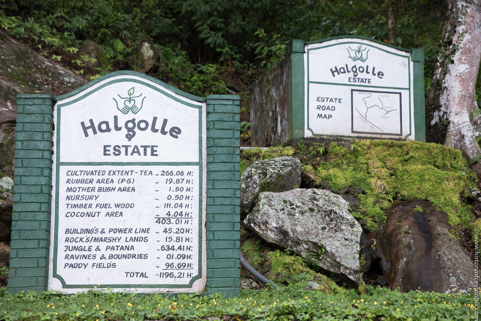 Halgolla Estate
