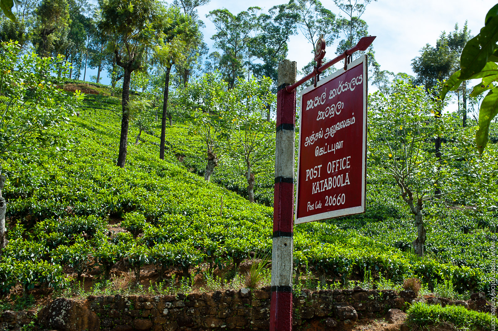 Kataboola Postal Code Photos & Videos | History of Ceylon Tea