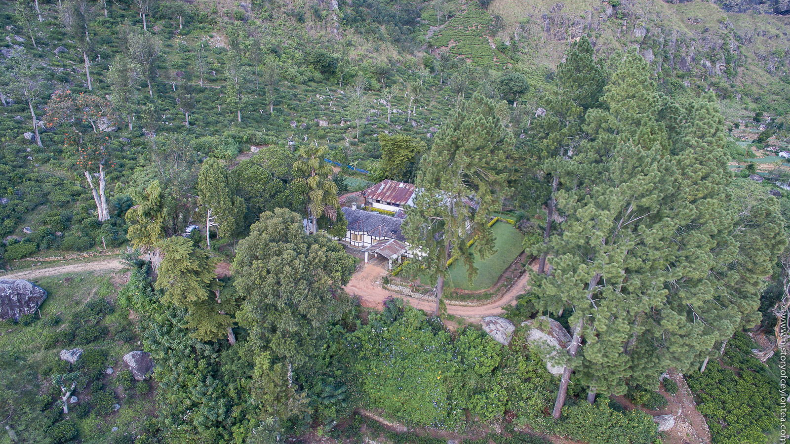 Leangahawela Estate