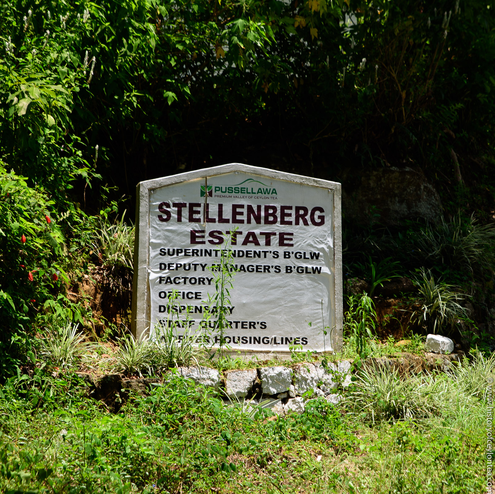 Stellenberg Estate