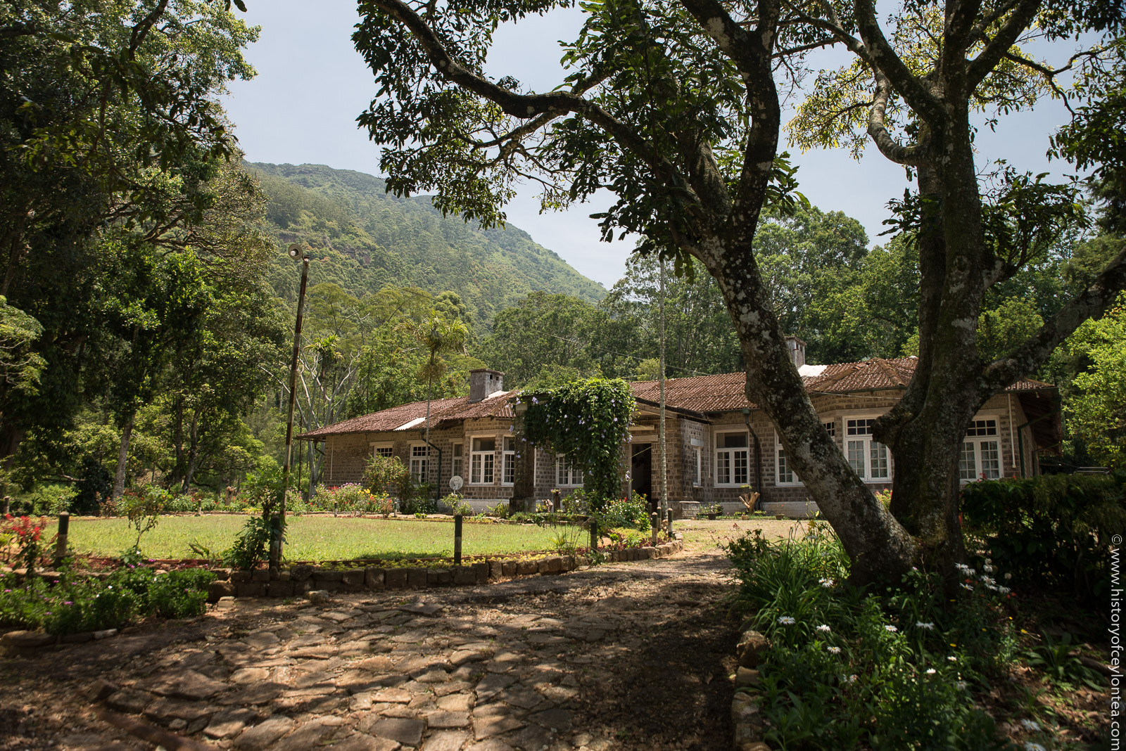 Stellenberg Estate