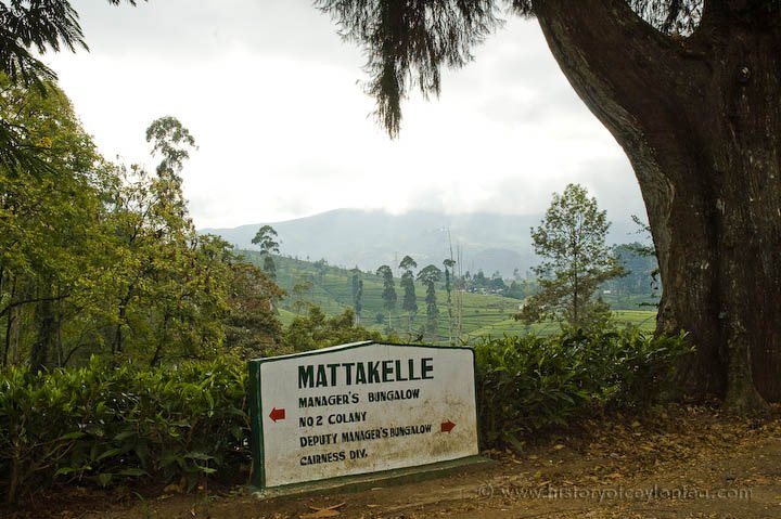 Mattakelle Estate (2008)