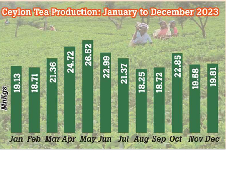 December 2023 tea production up 0.5% YoY
