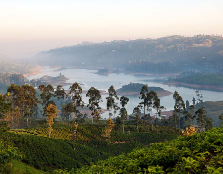 Reading the tea leaves on Sri Lanka’s next chapter