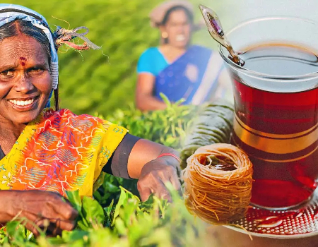 17 Titillating Facts about the History of Tea