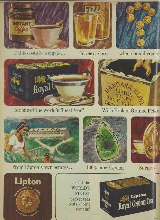70.Lipton Tea Royal Ceylon Blend